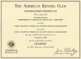 Keanu Certificate Championship USA