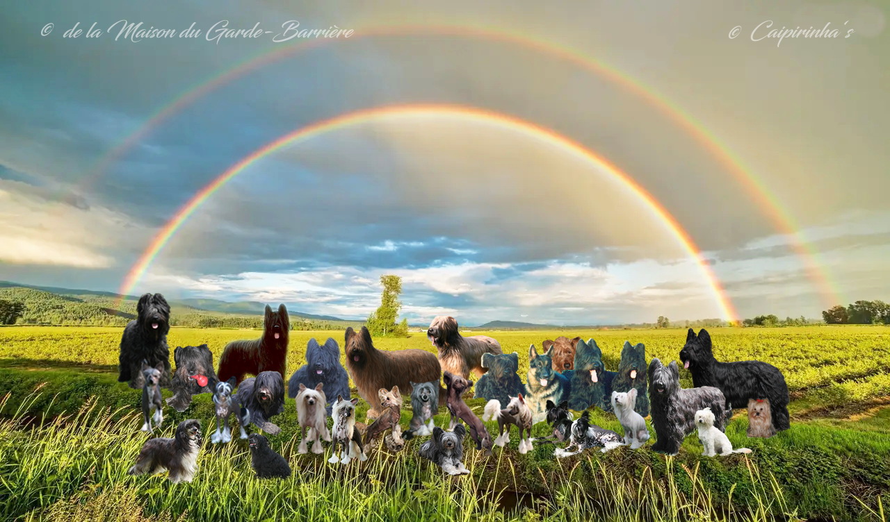 Regenbogenbrücke Regenbogenbrücke